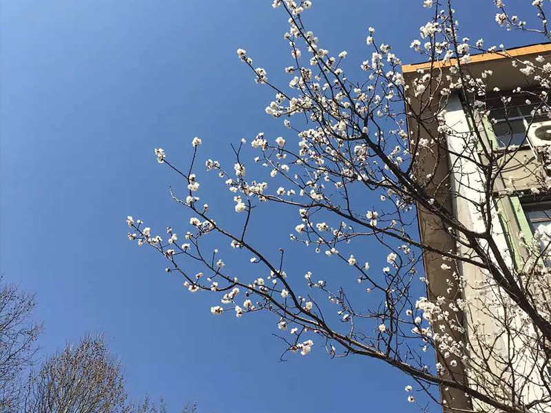 山東省實(shí)行春季高考的意義